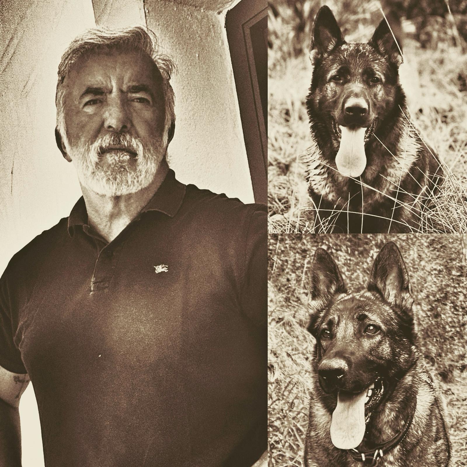 Jimmy Sola con sus perros